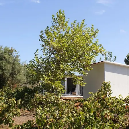 Cabin On The Sand Apartament